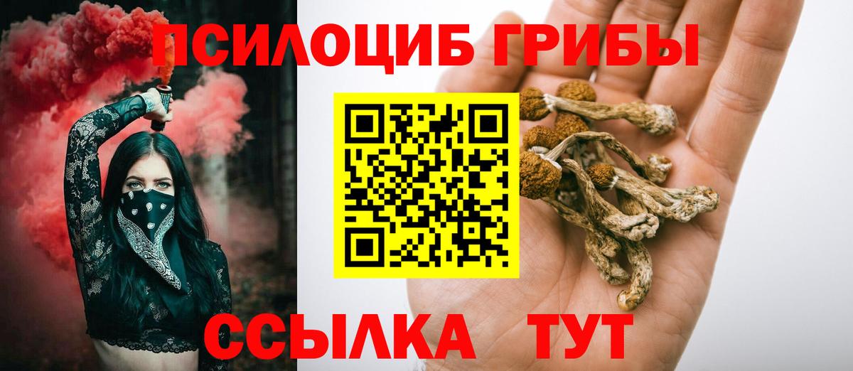 Галлюциногенные грибы Psilocybine cubensis Усолье-Сибирское